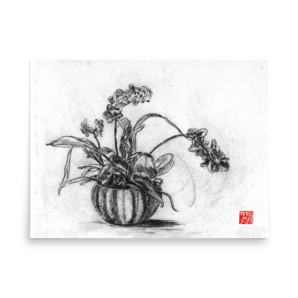 Planted Orchid etching Art Print
