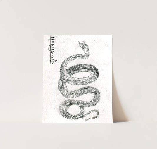 Serpent Etching - Giclée Print
