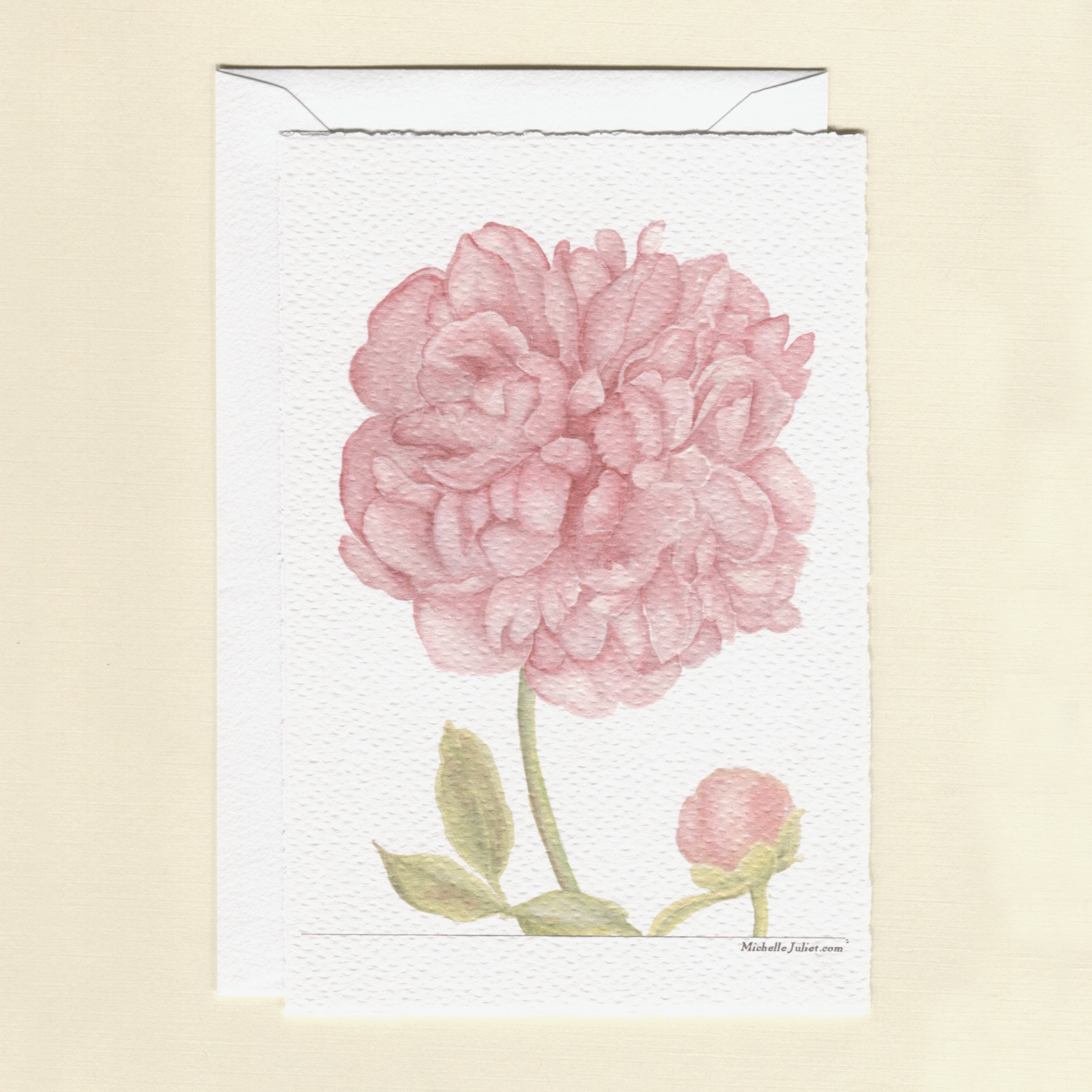 Peony Greeting Cards - Pack of 6