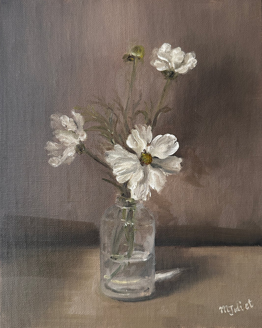 White Cosmos in Glass Vase