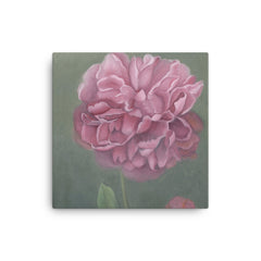 Peony in oil - quality digital print on canvas