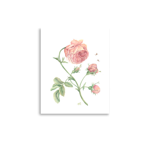 Rustic Rose Watercolor Art Print