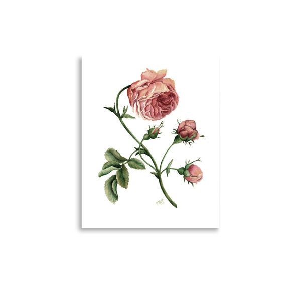 Dark Rustic Rose Art Print