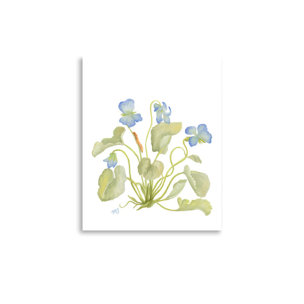 Cyclamen Art Print