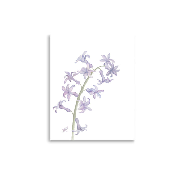 Hyacinthus Art Print