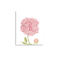 Peony Art Print