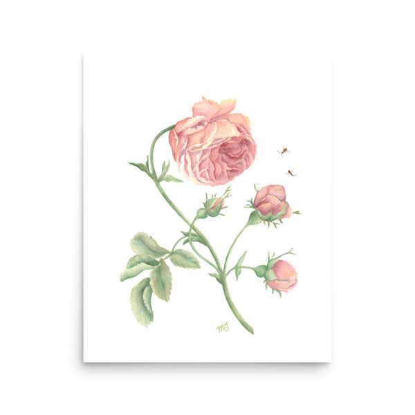 Rustic Rose Watercolor Art Print