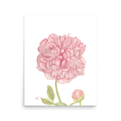 Peony Art Print