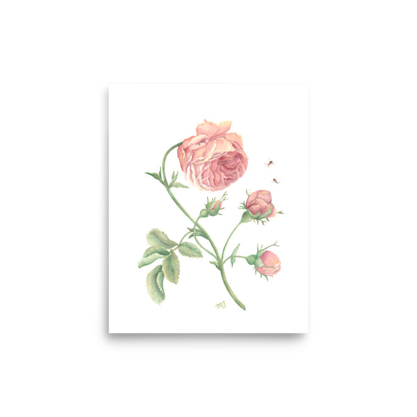 Rustic Rose Watercolor Art Print