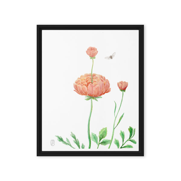 Ranunculus Watercolor Framed 16"x20" Canvas