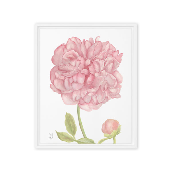 Peony Watercolor 16"x20" Framed Canvas
