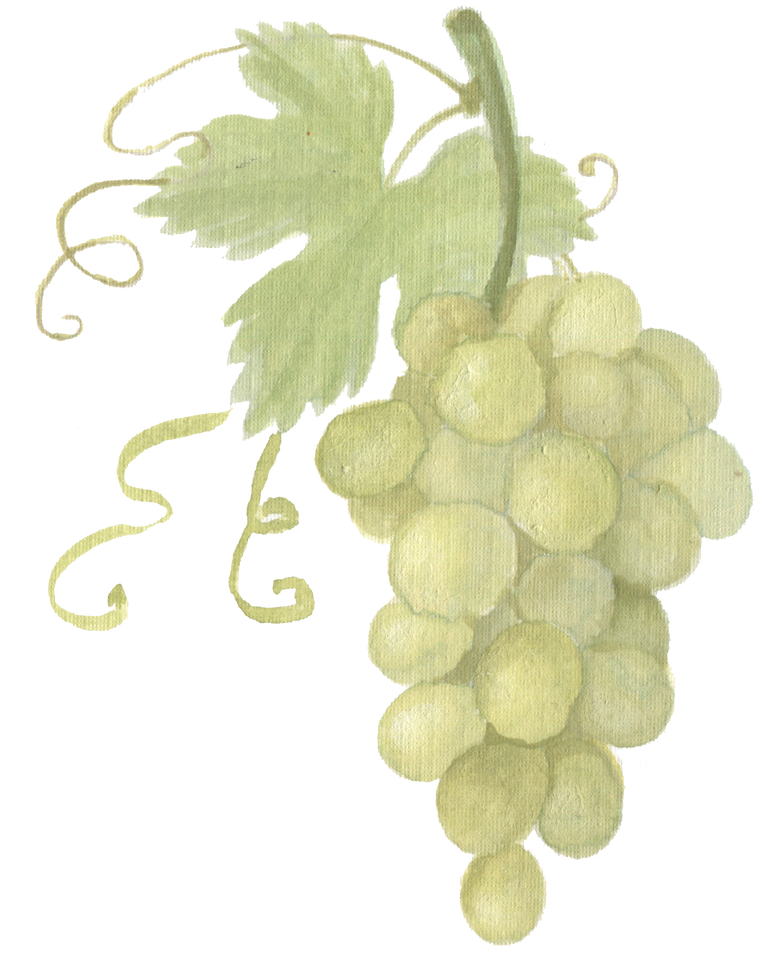 Green Grape bunch downloadable artwork