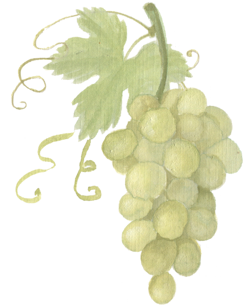 Green Grape bunch downloadable artwork