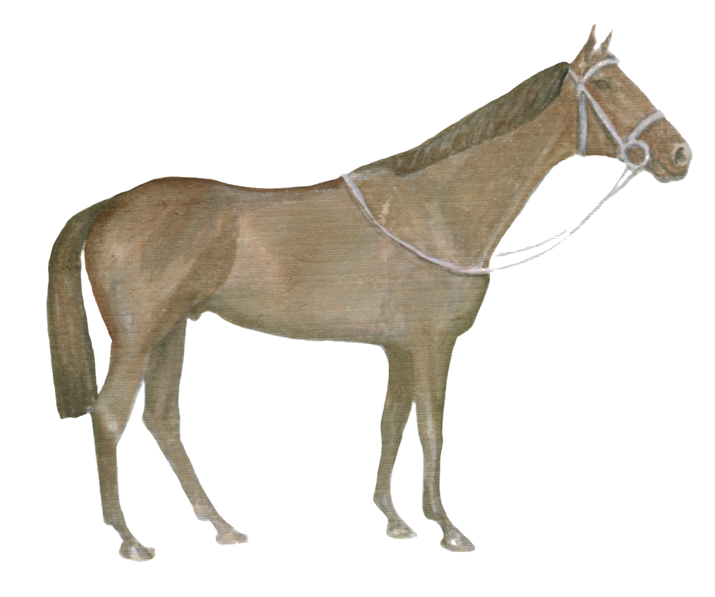 Horse Equestrian downloadable artwork