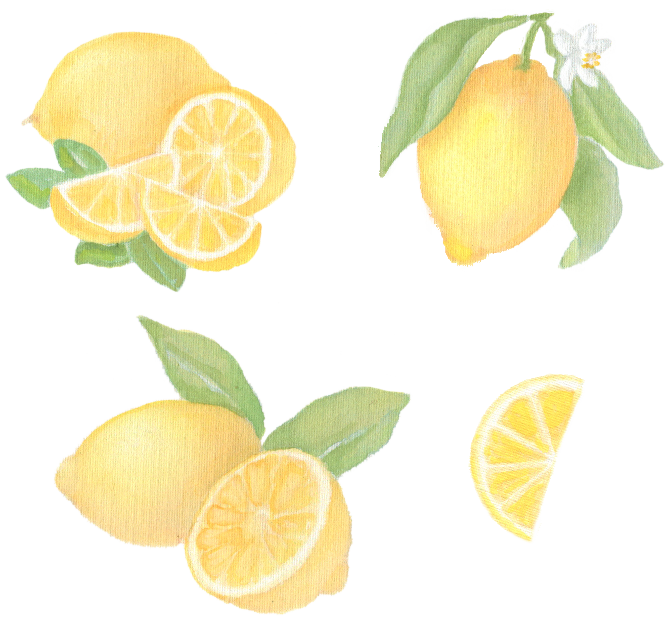 Lemons downloadable artwork