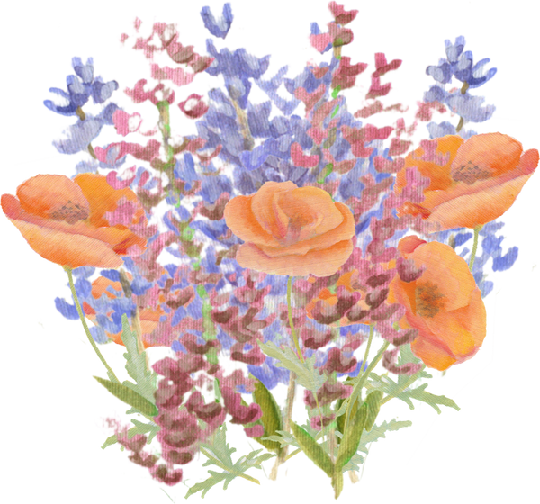 Lupine Wildflower downloadable artwork