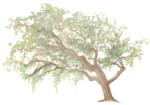 Oak Tree downloadable artwork