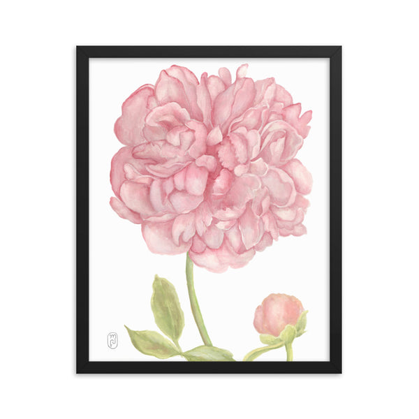 Peony Print in Frame