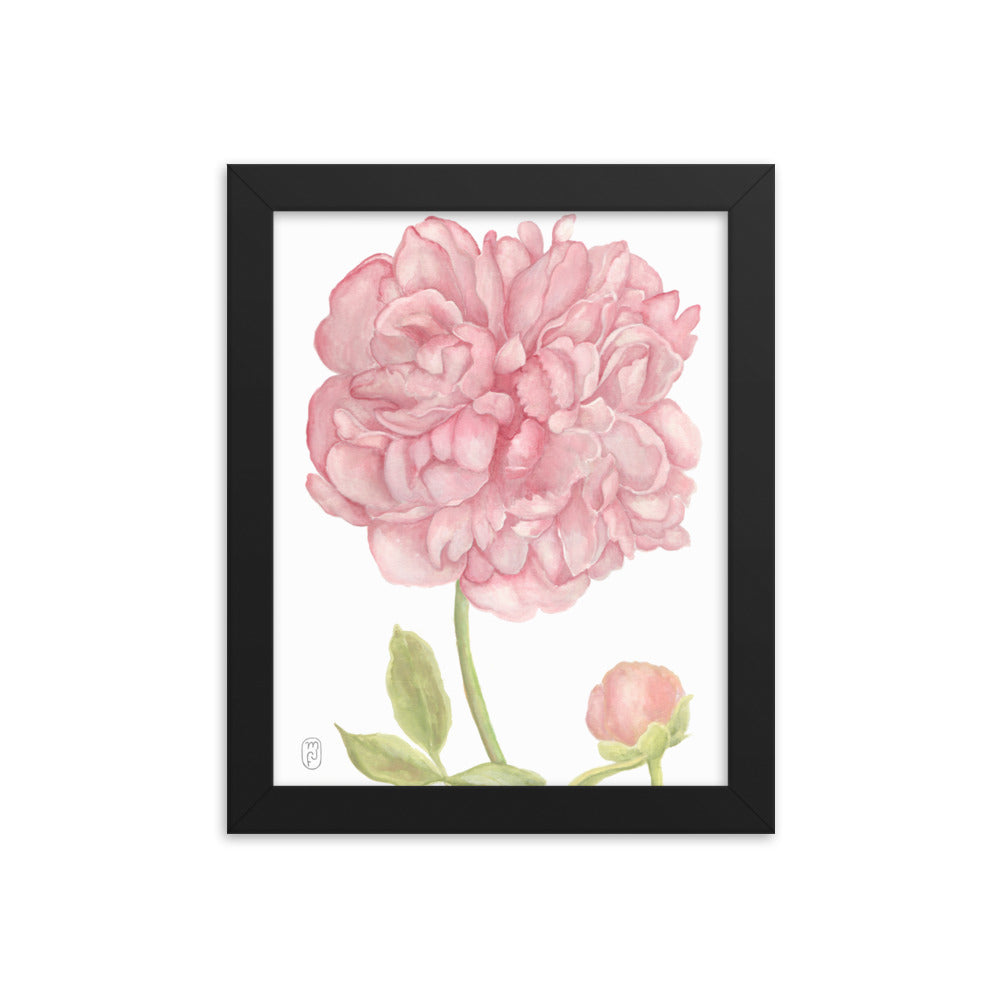 Peony Print in Frame