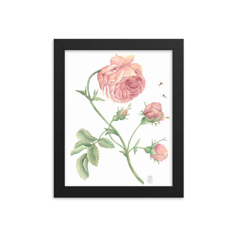 Rose Watercolor Print in Frame