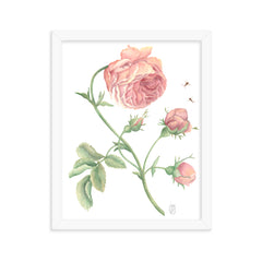 Rose Watercolor Print in Frame